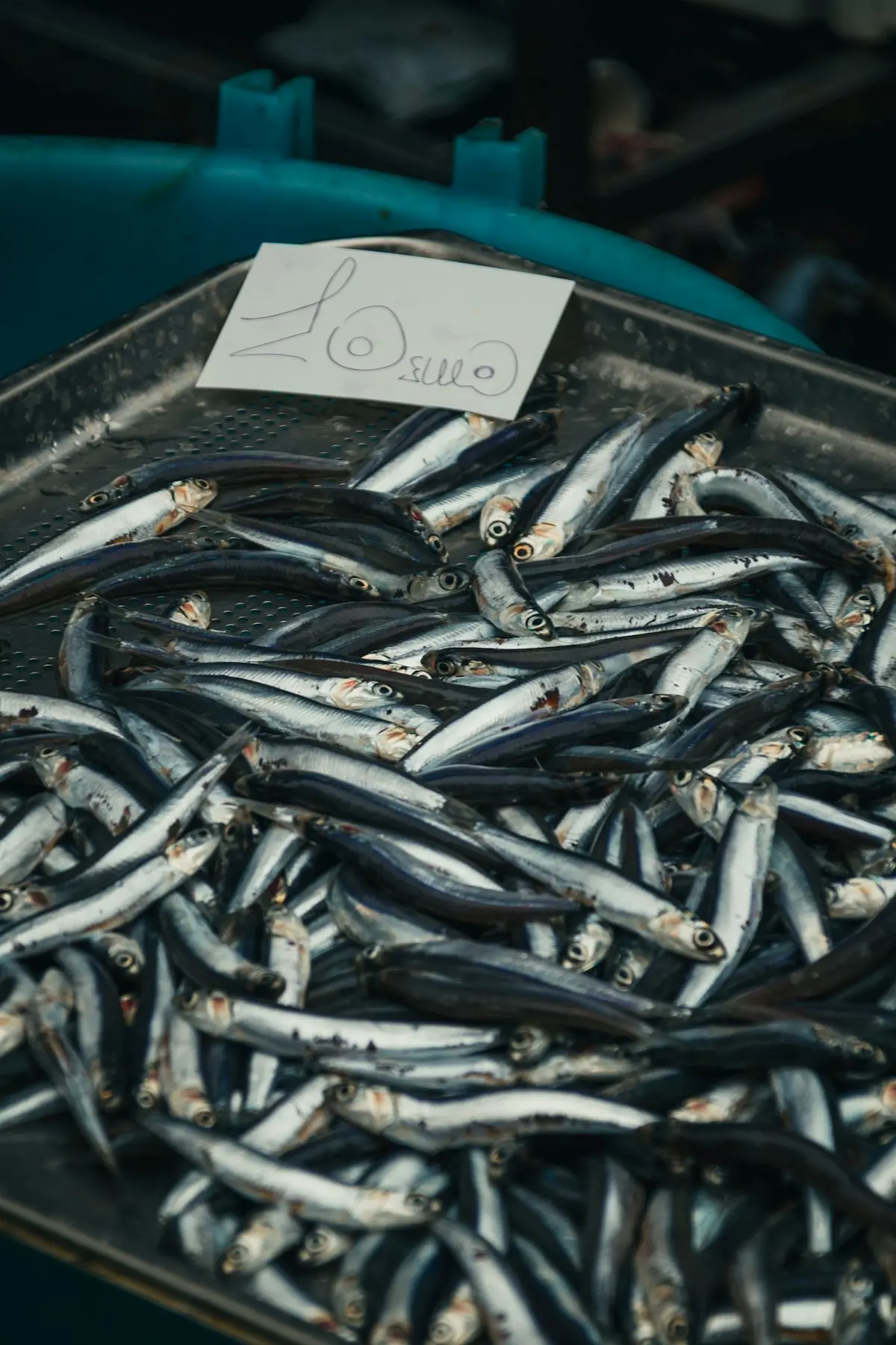 Sardines fraîches sur un étal